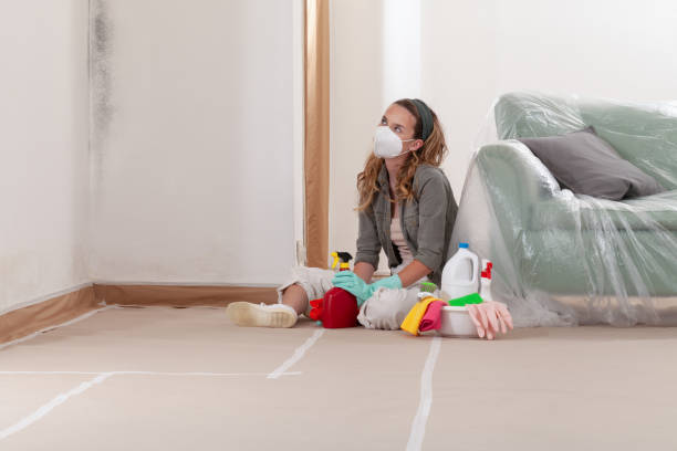 Reliable Commercial Mold Remediation contractor in Wayne, IL by WQB Mold Removal